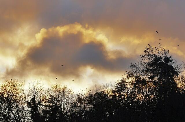Abendhimmel