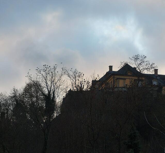 Stammbäume