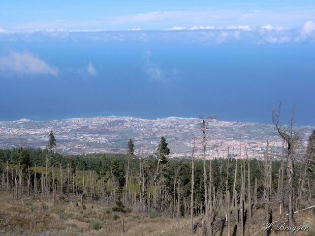 Blick vom Hang des Teide auf Puerto de la Cruz