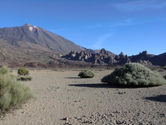 Den Teide fest im Blick
