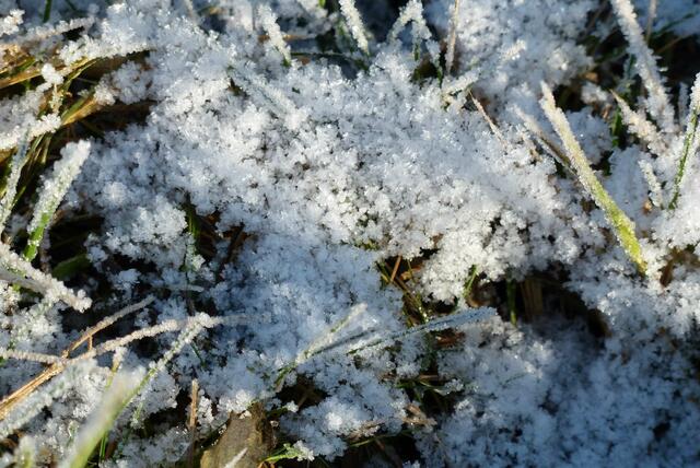 schon eine Andeutung von Schnee ..