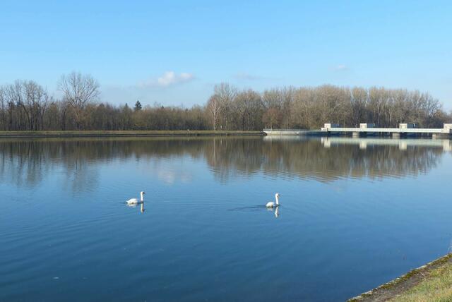 wer zu spät kommt ....... kriegt nichts mehr