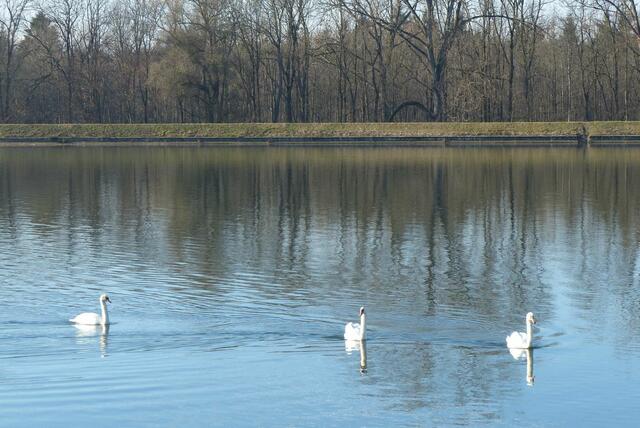 es gibt nichts mehr - Pech gehabt!