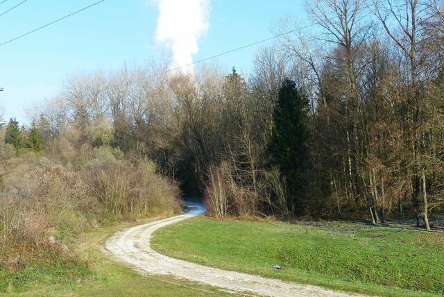 der Dammweg unterhalb