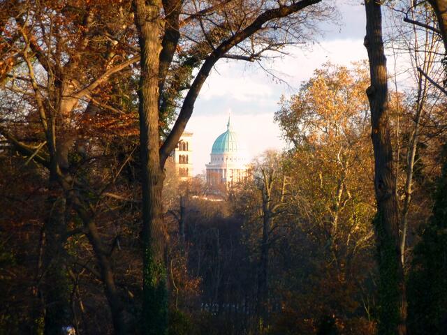 Die Bäume rahmen die Kuppel der Nikolaikirche und den Turm der Friedenskirche ein.