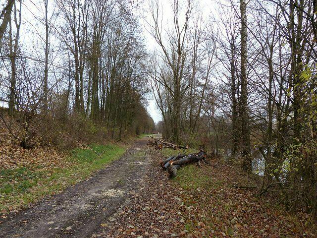 ein bequemer Weg ....... nur das Laub raschelt ....