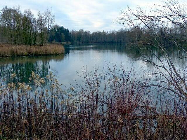 Sauberes, klares Wasser ...............
