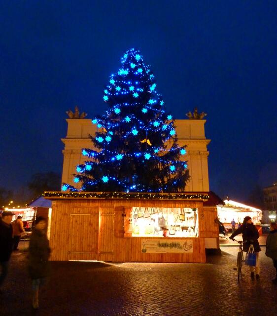 Hinter der mächtigen Tanne befindet sich das Brandenburger Tor von Potsdam.