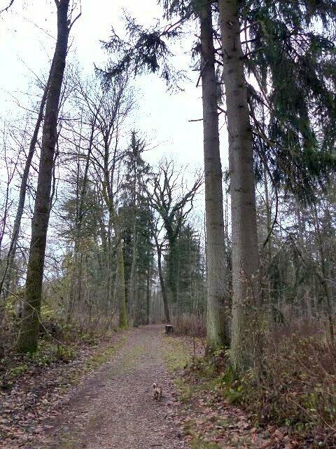 gut getarnt ....