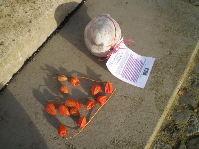 Bremen, 2. Dezember 2013, ab 11.55 Uhr: Blumen und die Bremer Schultaube mit der BAKI-Information zur Veranstaltung der SPARKASSE BREMEN am 14. März 2013 zum Ideenwettbwerb "Bremen macht Helden 2013"