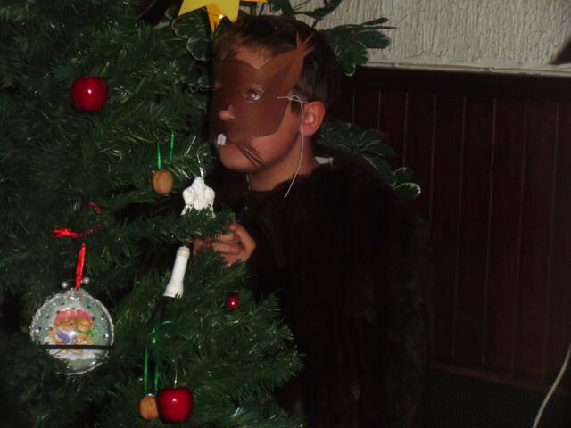 Aus der Geschichte- Ein Eichhörnchen schenkt Weihnachtsfreude