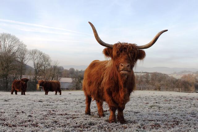 Jetzt kann der Winter kommen!