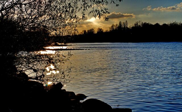 Abendsonne am Rhein bei Hartheim