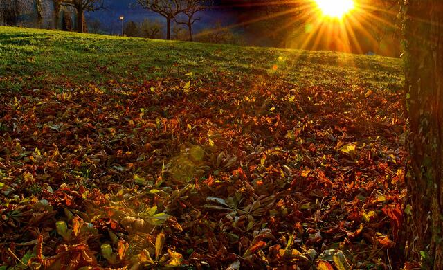 Kurz vor ihrem Untergang, die Abendsonne im Münstertal