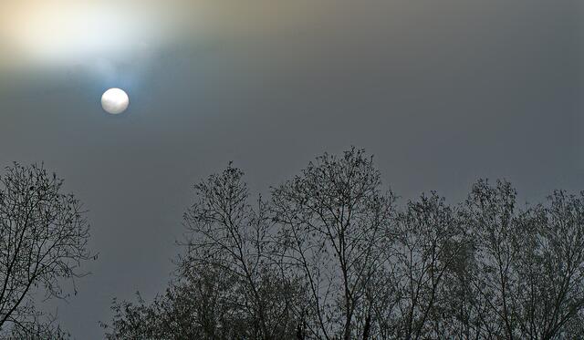 Sonnemond, die Sonne im Nebel sieht eher einem Mond ähnllich