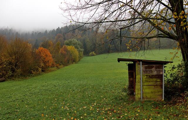 Noch gibt es ein paar Herbstfarben im Münstertal