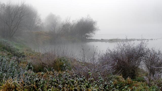 Nebel am Rhein bei Hartheim