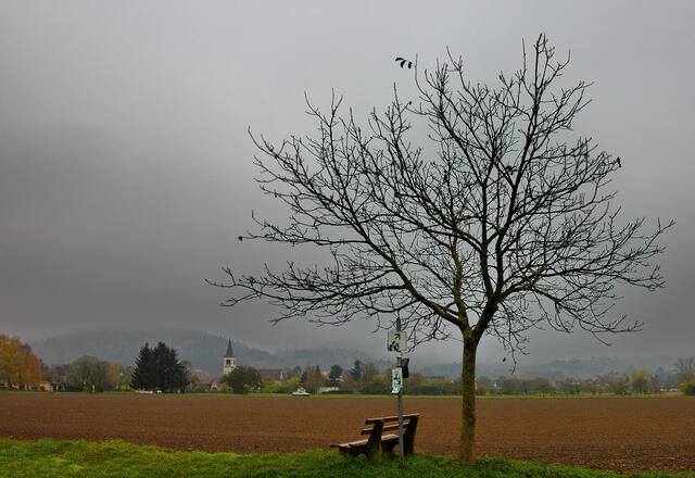 Der Schwarzwald ist im Nebel verschwunden