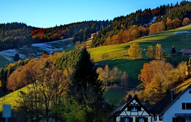 Herbstlicht