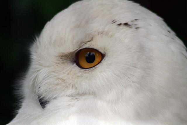hast du mich erwischt ... und biste zufrieden