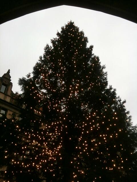 Die große Tanne vor der Kirche steht erdverwachsen.