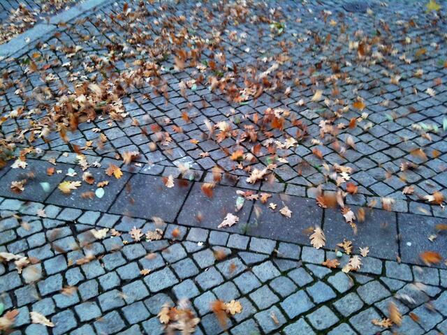 Manch altes Blatt kommt zu Tage. Brauchen wir einen neuen Untersuchungsausschuß?