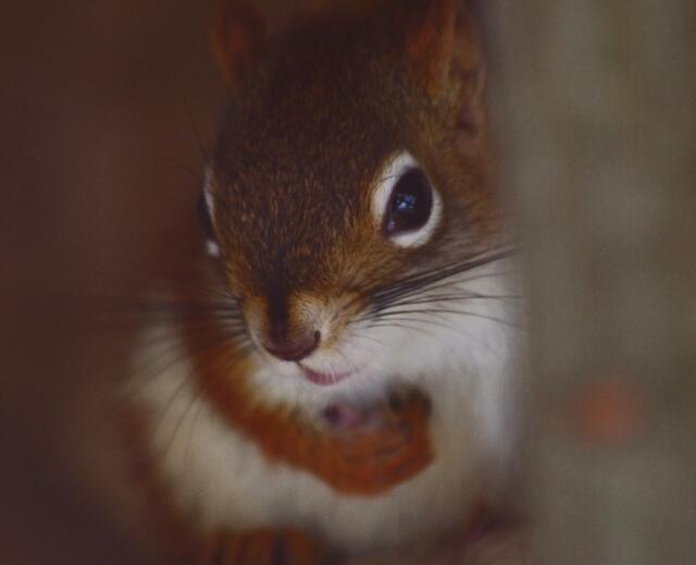laß man, ich bin noch ein wenig schüchtern