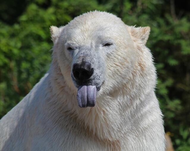 Ätsch --- haste nun davon