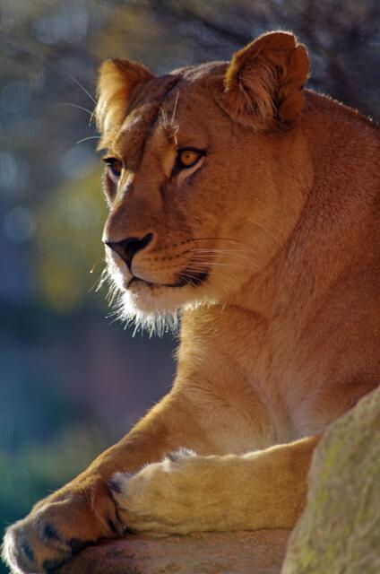 Herrlich diese Sonnenstrahlen