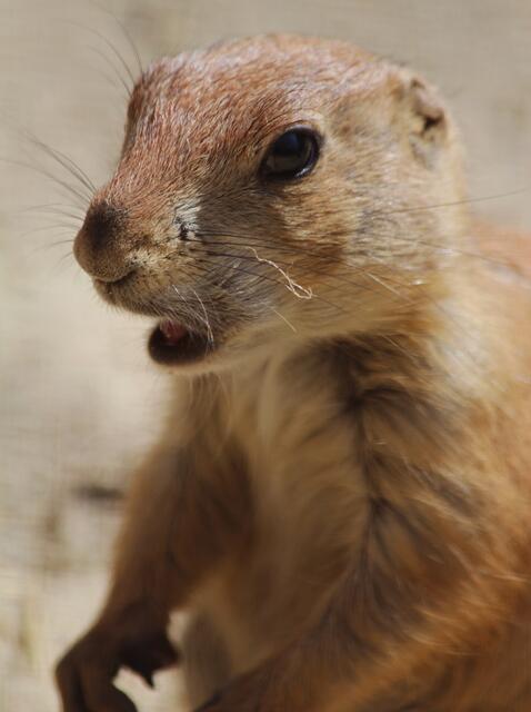 Huch ... was meinst du ...