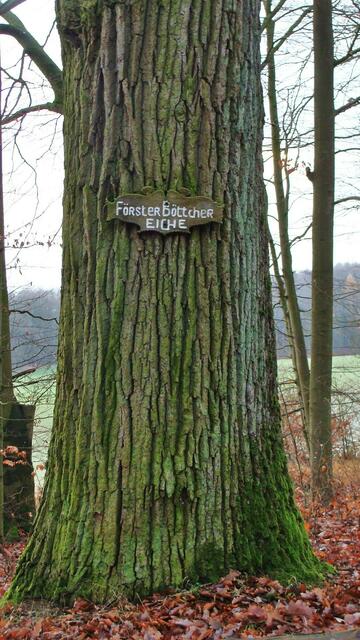 Förster-Denkmal