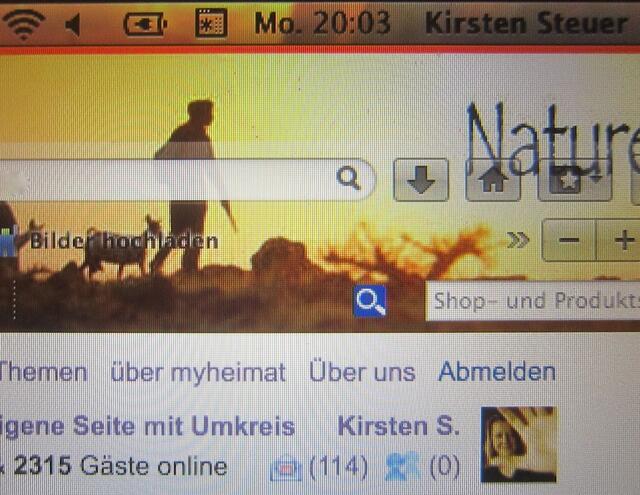Oh - zur besten Nachrichtenzeit habe ich angeblich 114 neue Nachrichten - auch nicht schlecht. (21 sind es wirklich!)