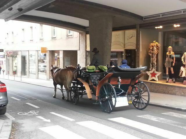 eine Stadtführung in der Kutsche ....