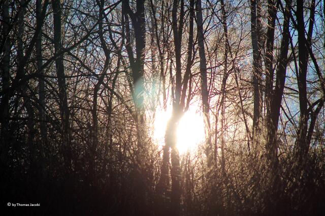Sonnenstrahlen durchdringen...