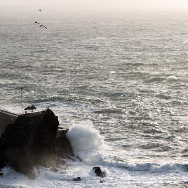 Immer wilder tobte das Meer