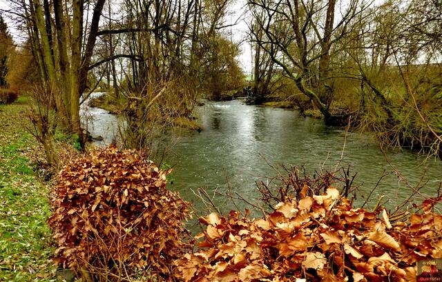 Die Schwalm hat sauberes Wasser. Man findet Flußmuscheln.