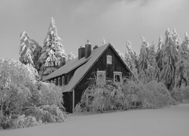 Und oben im Harz war es besonders schön.
