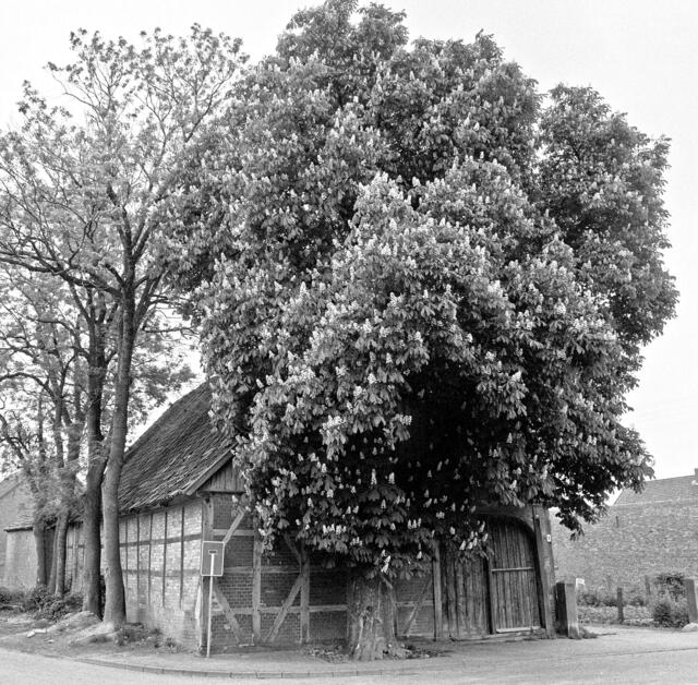 Fachwerkromantik in Wülferode.