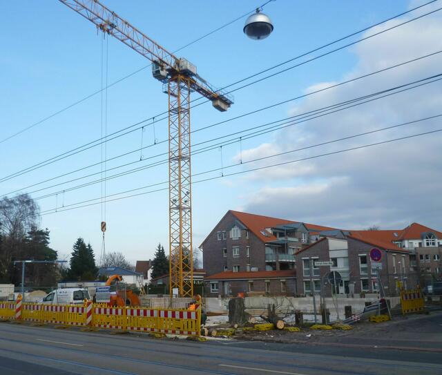 Der traurige Rest des einst so stolzen Baumes.