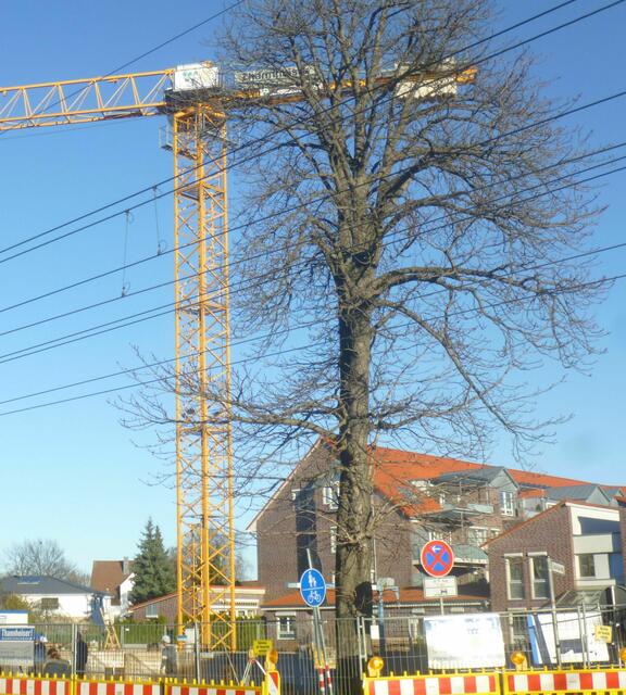 Foto: 15. Dezember 2013