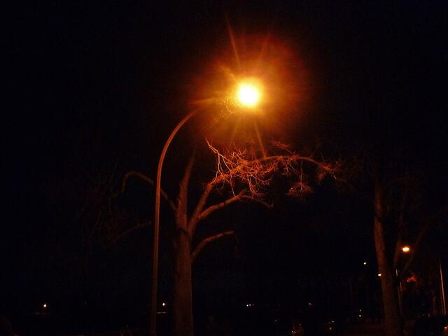 Weihnachtszauber auf Burg Querfurt - am 21.12.2013 !