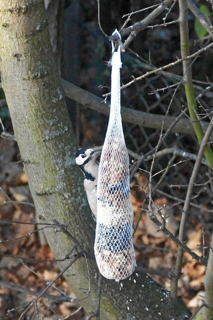 "Echt lieb von dir!"