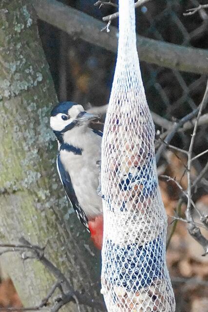 "Schmeckt echt gut, solange es ja kaum Käfer und Würmer hier draußen gibt!"
