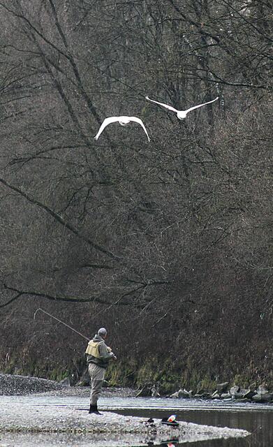 auch der Angler schaut verwundert