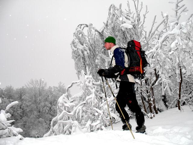 Die Bäume sind von einer Eisglasur überzogen.