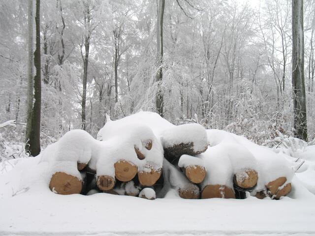 Und auch hier liegt der Schnee, auch wenn es in Hannover nur wenig oder sogar keinen gibt, oft sehr hoch.