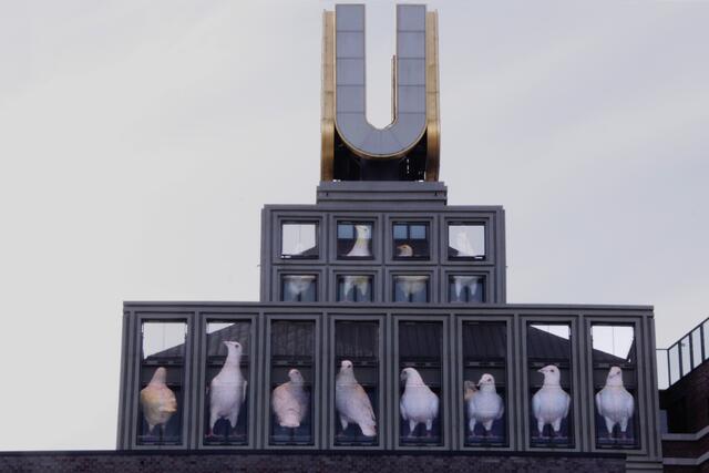 Dachkrone mit Videokunst