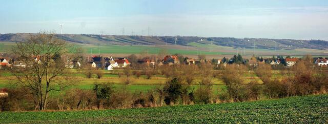 31.12.2013 - Blick über die Unstrutwiesen nach Reinsdorf !