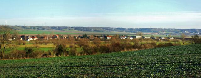 31.12.2013 - Blick über die Unstrutwiesen nach Reinsdorf !