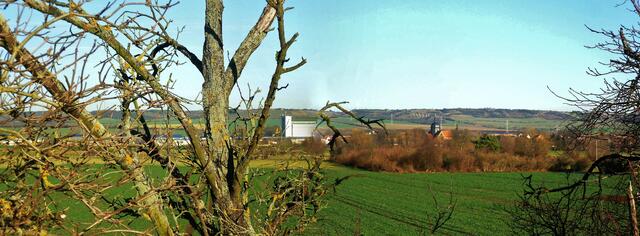 31.12.2013 - Blick über die Unstrutwiesen zur Reinsdorfer Kirche !